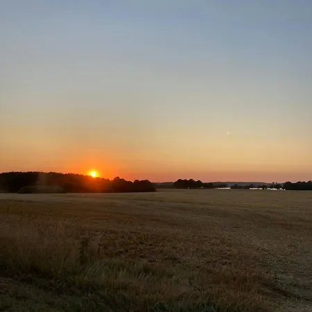 Thatched Brick House Near The River Schlei *