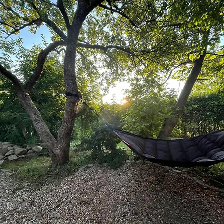 Thatched Brick House Near The River Schlei * Thumby