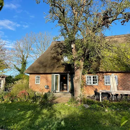 Thatched Brick House Near The River Schlei Thumby