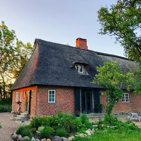 Thatched Brick House Near The River Schlei * Thumby