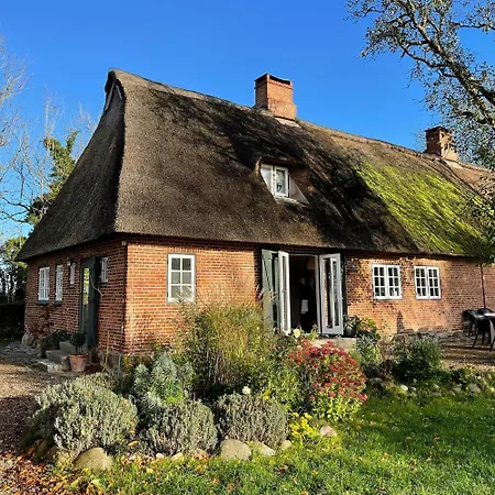 Thatched Brick House Near The River Schlei Thumby