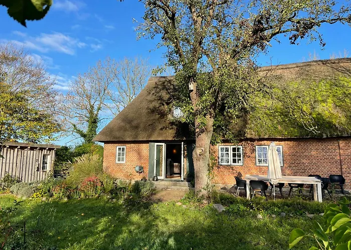 Thatched Brick House Near The River Schlei Thumby