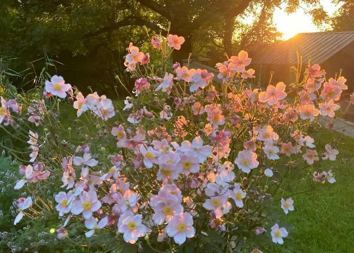 Vakantiehuis Thatched Brick House Near The River Schlei Thumby